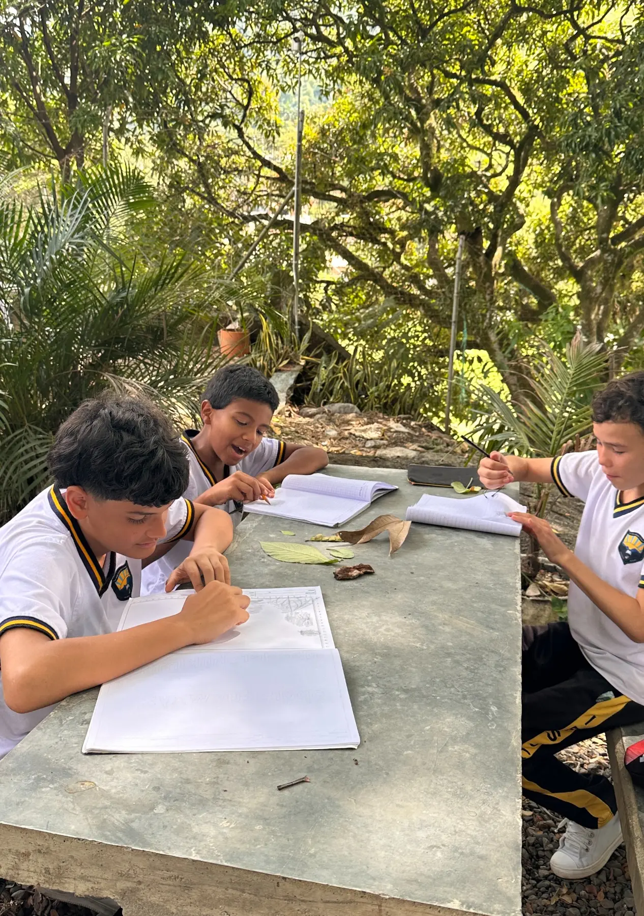 Estudiantes dibujando en un espacio natural